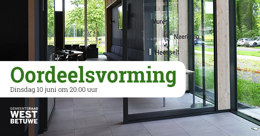 Oordeelsvorming 10 juni
